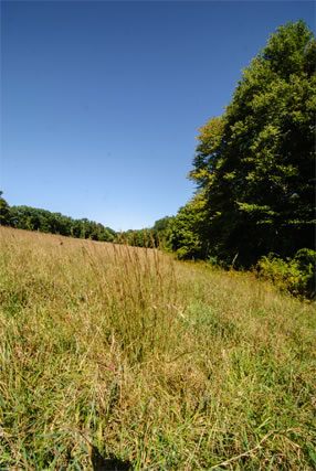 Open Space