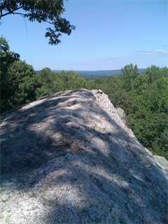 eagle-bottom-right