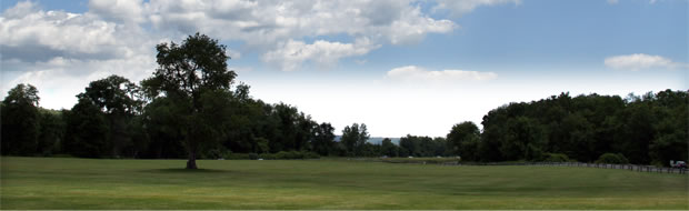 Meadow for a Variety of Activities