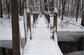 Winter Hiking on Haddam Trails